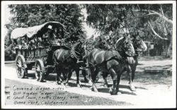 Covered Wagon Rides, Knott's Berry Farm Postcard