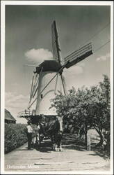 Hollandse Molen, Horse & Cart Postcard