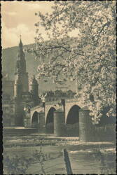 Alte Brücke with Blossoming Trees Postcard