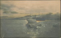 Ship and Icebergs, Spitsbergen Postcard