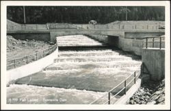 Fish Ladder - Bonneville Dam Postcard