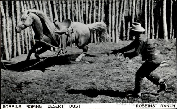 Robbins Roping Desert Dust Wyoming Horses