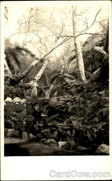 Woman in the Park Women