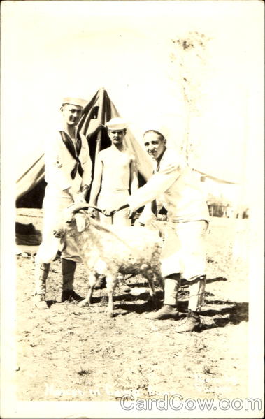 Mascot In Camp Sailors Navy