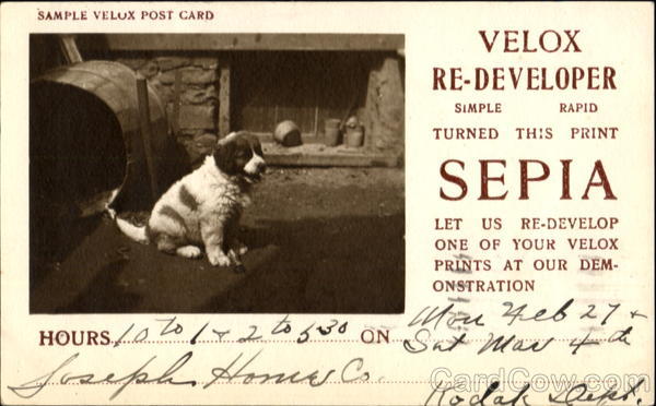 Velox Sample Photo Post Card Advertising