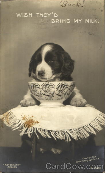 Wish They'd Bring My Milk Dogs