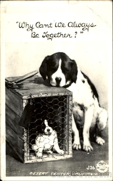 Why Cant We Always Be Together? Desert Center California