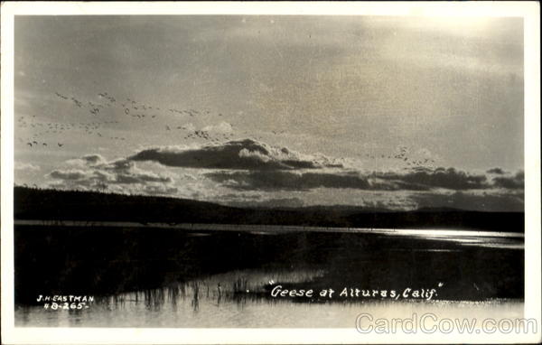 Greese At Alturas Scenic California