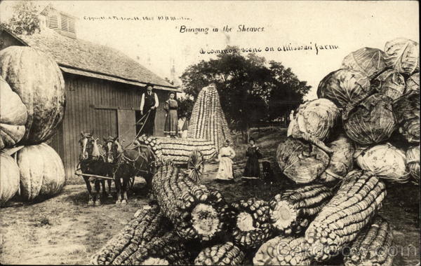 Bringing in the Sheaves Missouri Farm Exaggeration