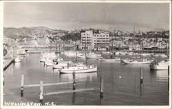 Wellington Postcard