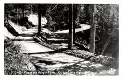 One Of The Hairpin Turns, Oregon Caves Highway Postcard
