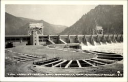 Fish Ladders Postcard