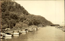 Boat Docks along the Shore Postcard