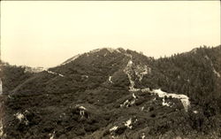 Summer Mountain Scene Summer Mountain Scene
