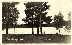 Moore's Springs Postcard