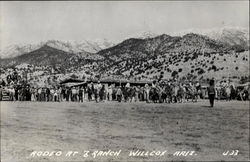 Rodeo At 3 Ranch Willcox, AZ Postcard Postcard