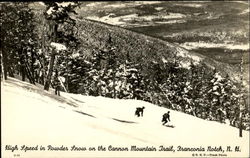 High Speed In Powder Snow On The Cannon Mountian Trail Postcard