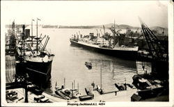 Shipping Harbor Postcard