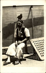 Pirate with Parrot Postcard