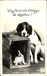Why Cant We Always Be Together? Postcard