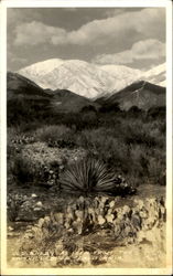 Old Baldy As Seen From The Foothill Blvd Postcard