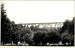 Cascade Bridge Springville, NY Postcard Postcard