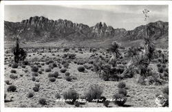 Organ Mts Scenic, NM Postcard Postcard