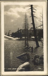 Five Lakes Postcard
