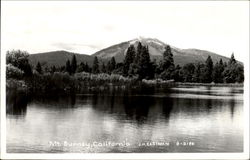 Mt. Burney Postcard