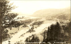 View From Crown Point, Columbia River Highway Postcard