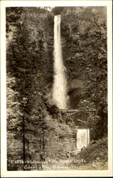 Multnomah Falls Postcard