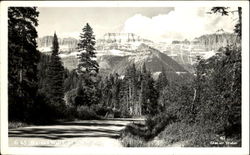 Garden Wall From Sun Highway Postcard