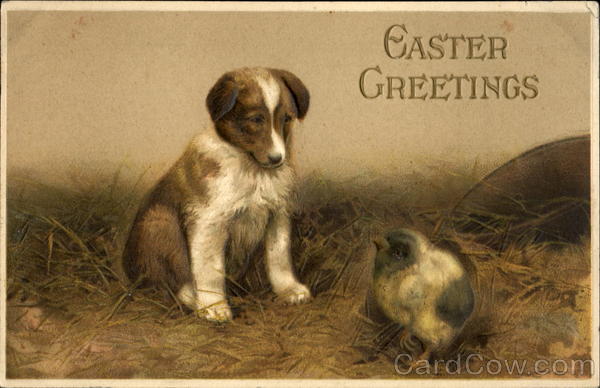 Easter Greetings With Chicks