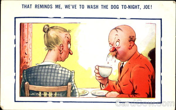Wash the Dog Tonight Comic, Funny
