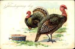 Thanksgiving Day Postcard
