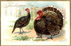 Thanksgiving Day Postcard