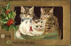 Merry Christmas Postcard