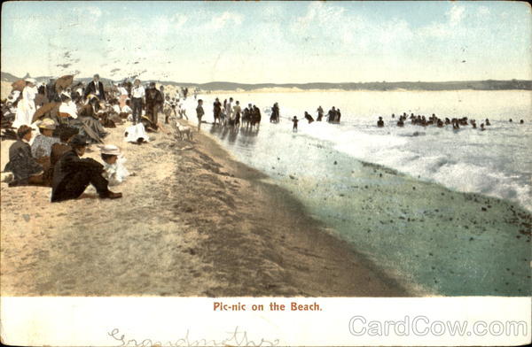 Pic-Nic On The Beach Scenic