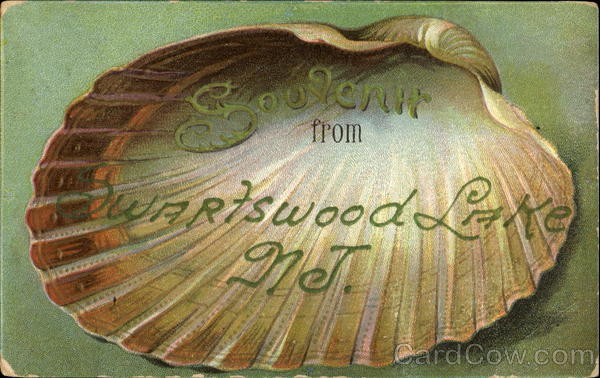 Souvenir From Swartswood Lake New Jersey