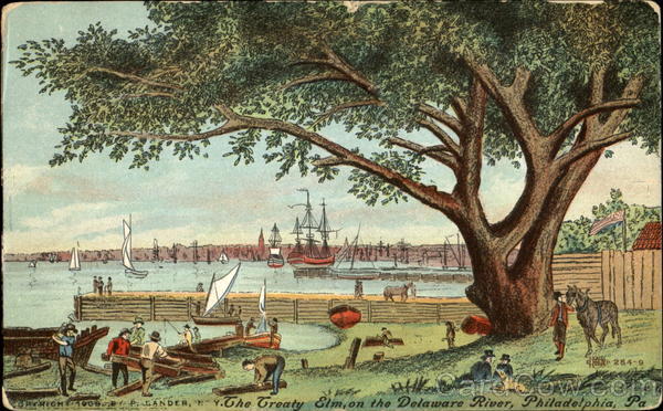 The Treaty Elm On The Delaware River Philadelphia Pennsylvania