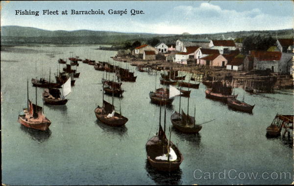 Fishing Fleet Barrachois PQ Canada Quebec