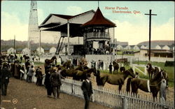 Horse Parade Sherbrooke, PQ Canada Quebec Postcard Postcard