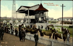 Horse Parade Postcard