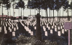 The National Cemetery Arlington, VA Postcard Postcard