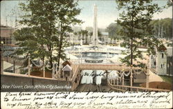 White City Savin Rock Postcard