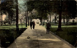 Scene In Capitol Park Postcard