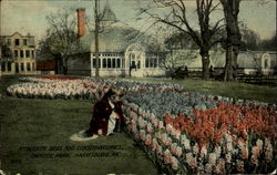 Hyacinth Beds And Conservatories, Capitol Park Postcard