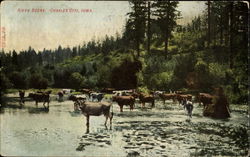River Scene Postcard