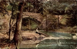 The Wissahickon, Fairmount Park Postcard