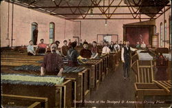 Small Section Of The Brainerd & Armstrong Dyeing Plant Postcard
